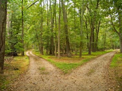 two paths best mortgage rates toronto